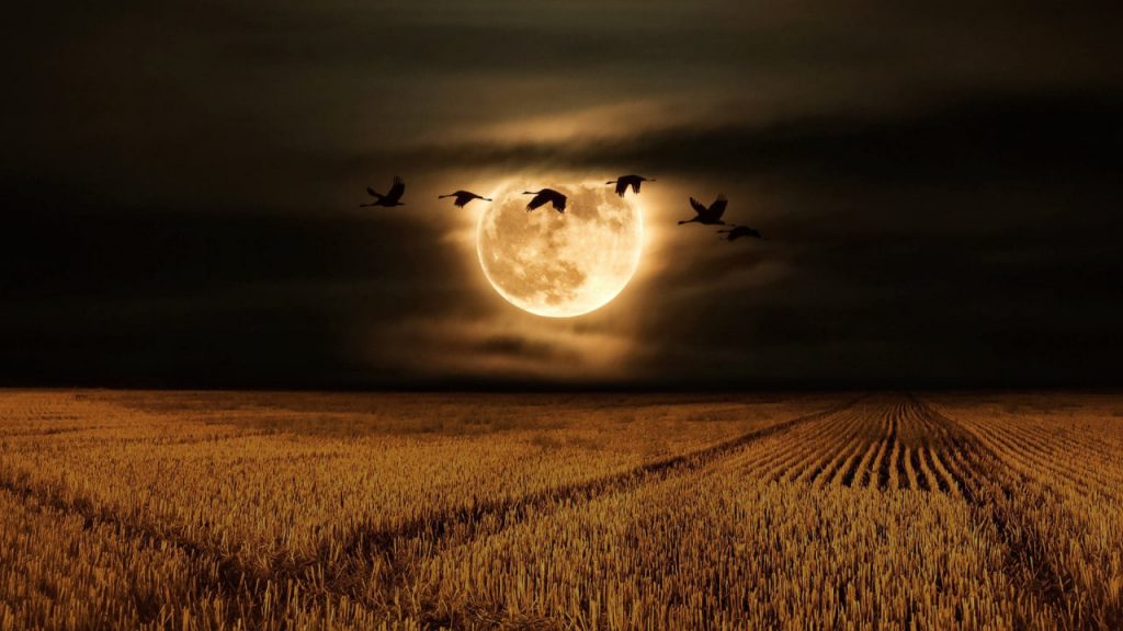 Vollmond am 6. Oktober: Erfolg und Veränderung