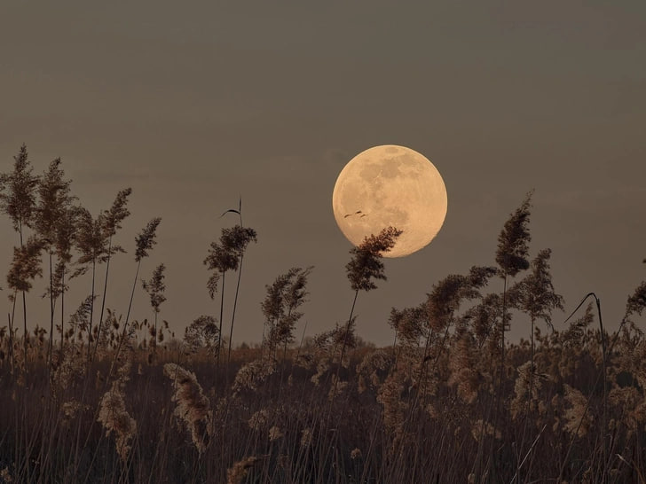 Vollmond am 6. Oktober: Erfolg und Veränderung
