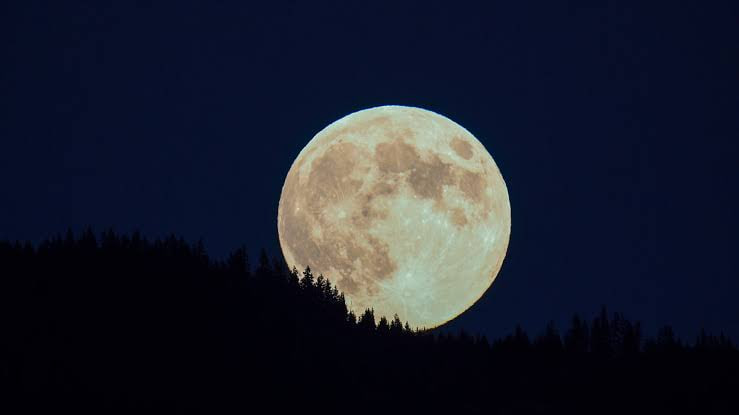 Supermond 2025: Wann und wie der hellste Mond des Jahres