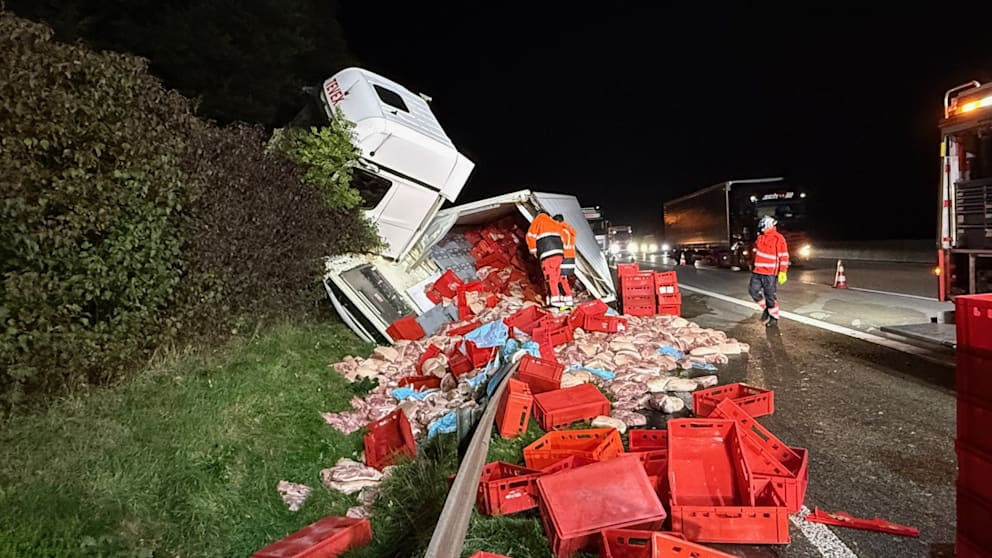 Fleisch-Schock auf der A5 bei Friedberg: Lkw kippt um – 16 Tonnen Schweinefleisch auf der Fahrbahn Lkw-Unfall A5: 16 Tonnen Schweinefleisch auf der Straße