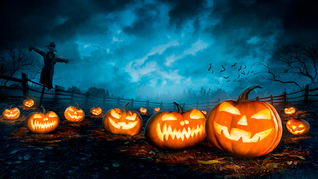 Halloween 2025: Geschichte, Traditionen und Glückwünsche