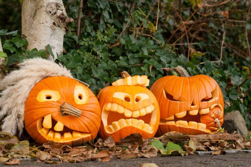 Top Halloween-Deko-Trends 2025: Mit diesen Kürbissen wirst du alle beeindrucken! So dekorieren Sie Ihr Zuhause für Halloween