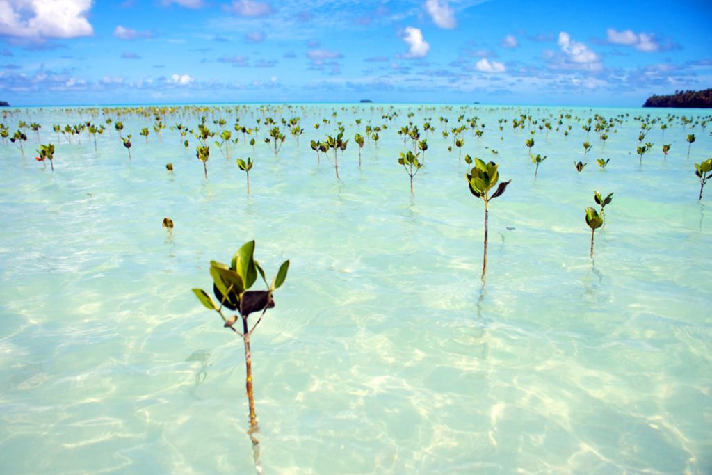 Deutschland hilft Tuvalu beim Schutz vor dem steigenden