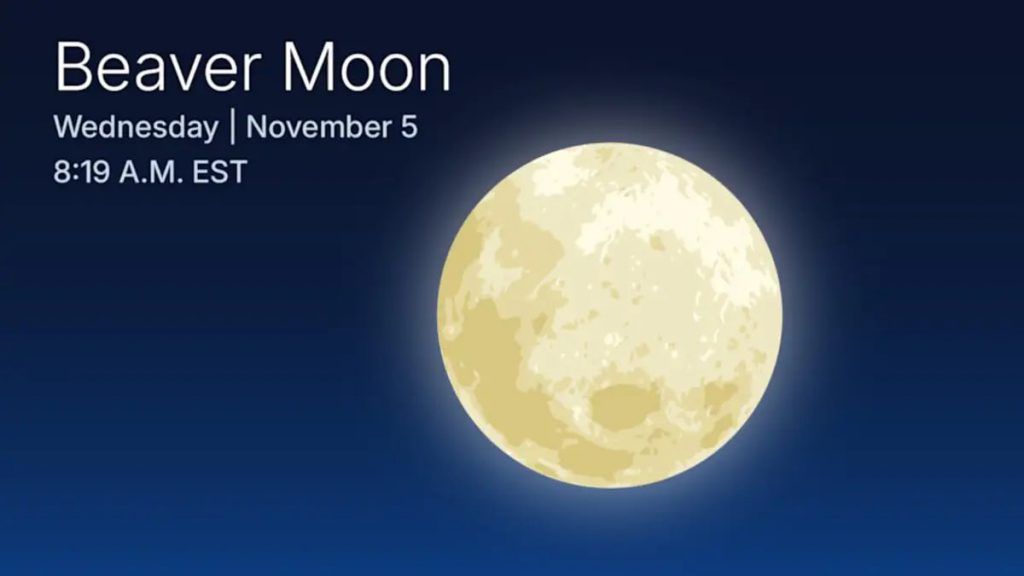 Biber-Supermond am 5. November 2025: So war es!