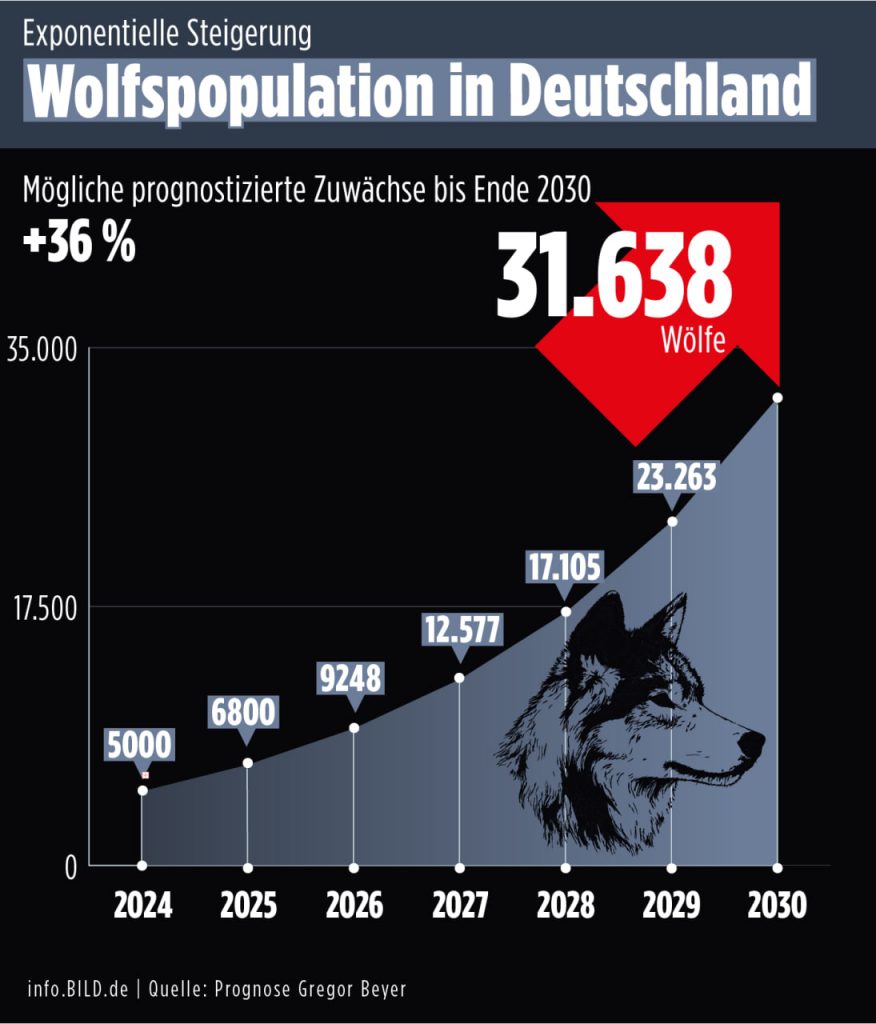 Wolf-Anstieg in Sachsen-Anhalt: Druck auf Politik wächst