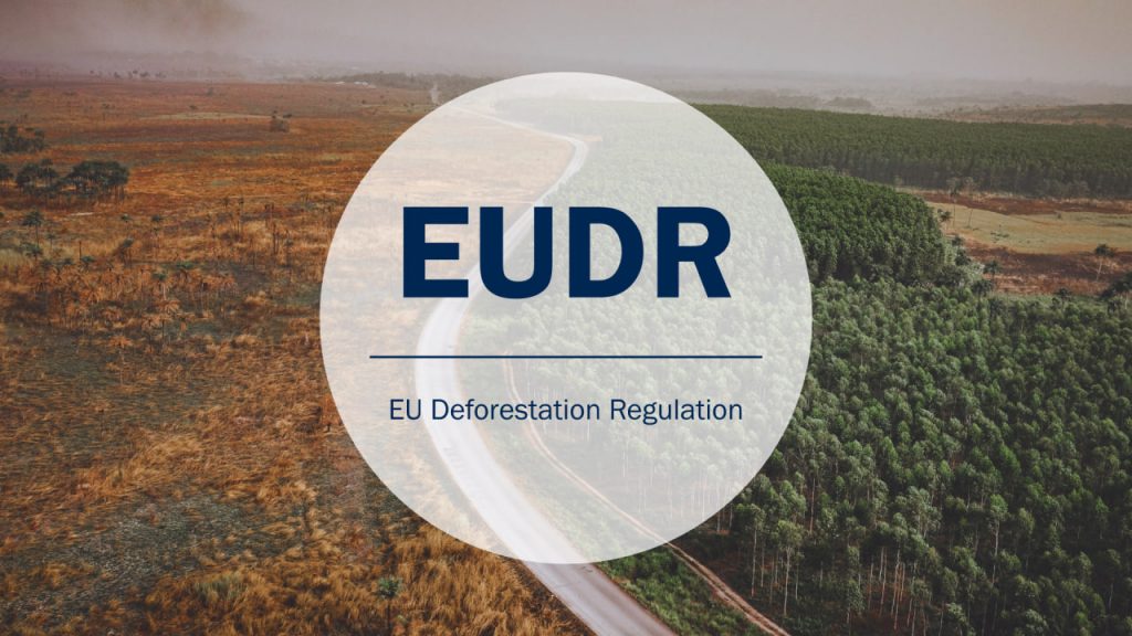 EUDR: Wichtige Entscheidung für die Buchindustrie in der EU