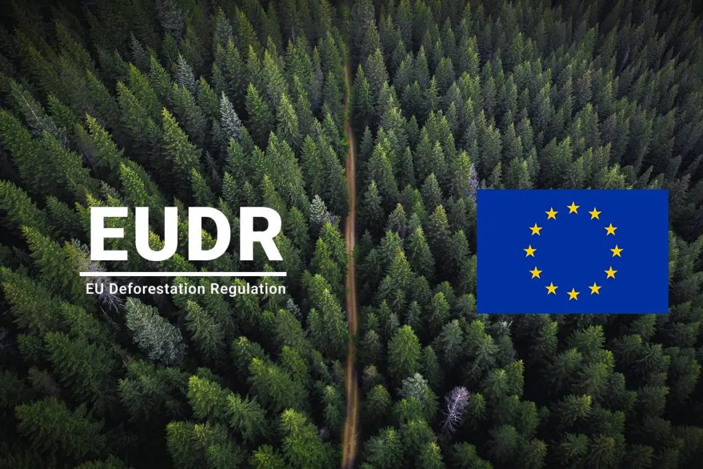 EUDR: Probleme und Lösungen für die europäische Buchindustrie EUDR: Wichtige Entscheidung für die Buchindustrie in der EU