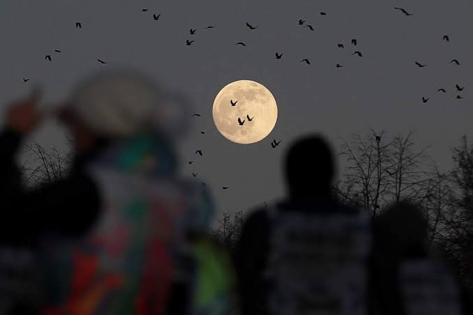 Mondkalender für Dezember 2025: Wie planen Sie Ihre Aufgaben am besten im Einklang mit den Mondphasen? Mondkalender Dezember 2025: wie man am besten plant