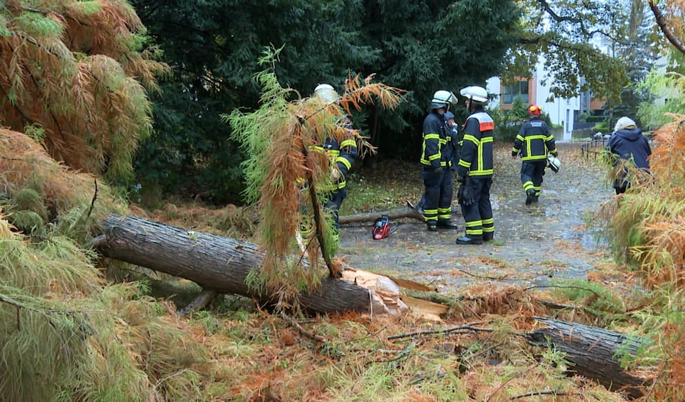Hamburg: Maud Schock bleibt querschnittsgelähmt