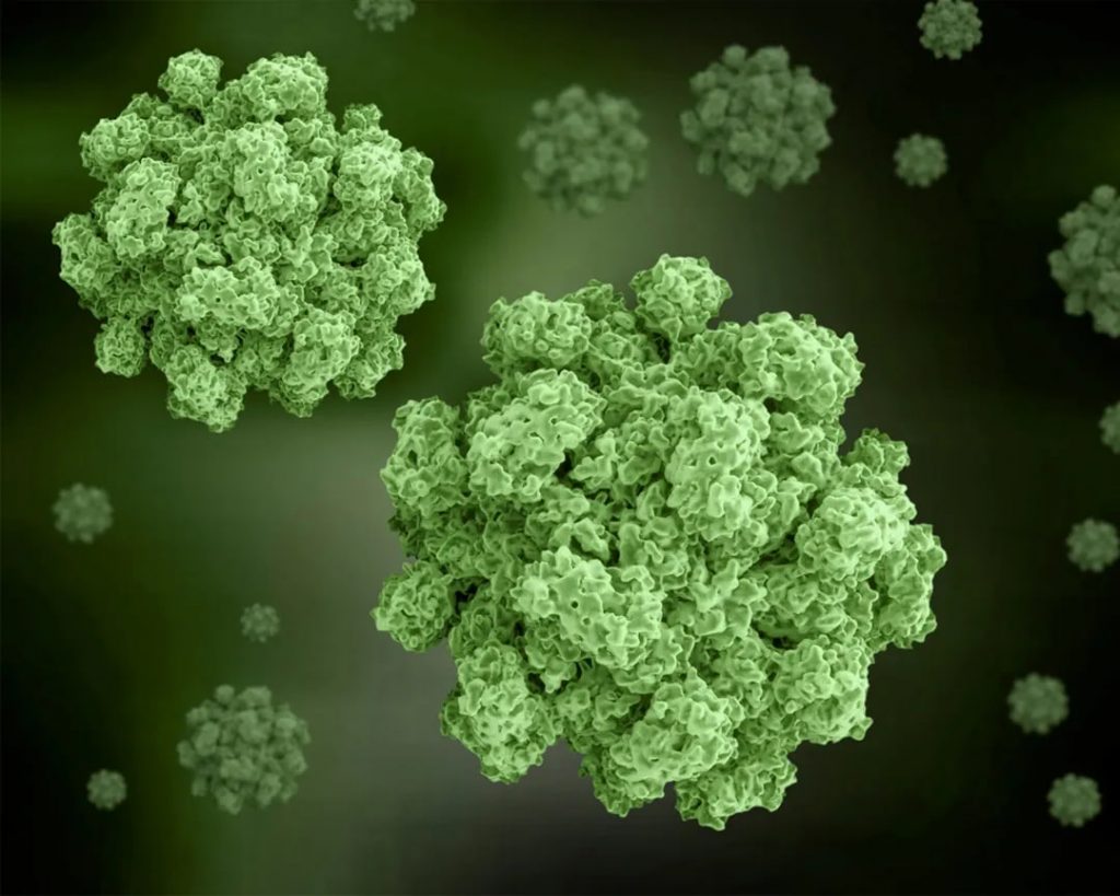 Wie man sich vor Norovirus schützt: Symptome und Prävention