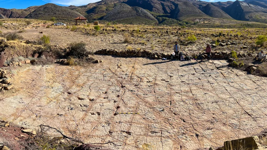 In Bolivien wurden rekordhafte Dinosaurierspuren entdeckt