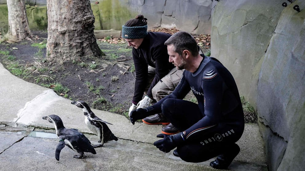 Vogelgrippe-Verdacht: Leipziger Zoo schließt Bereiche