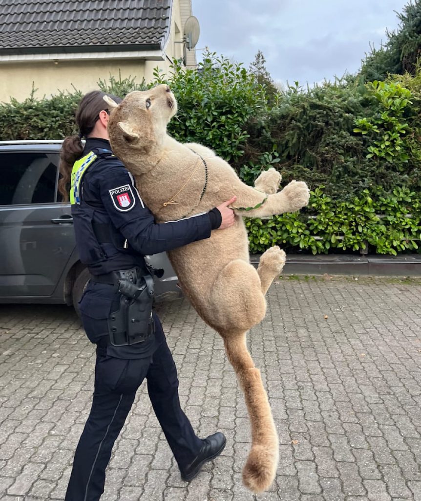 Ausgestopfter Puma: Polizei-Razzia in Hamburg-Lurup