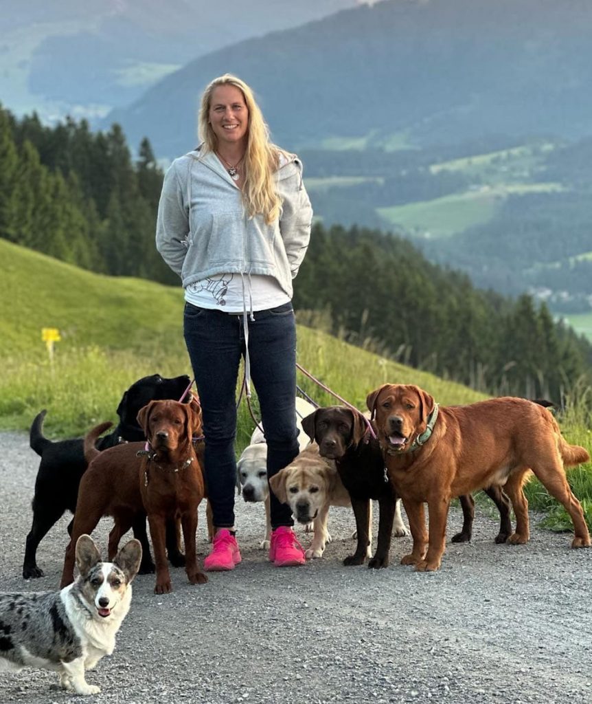 Promi-Hundezucht am Starnberger See geschlossen