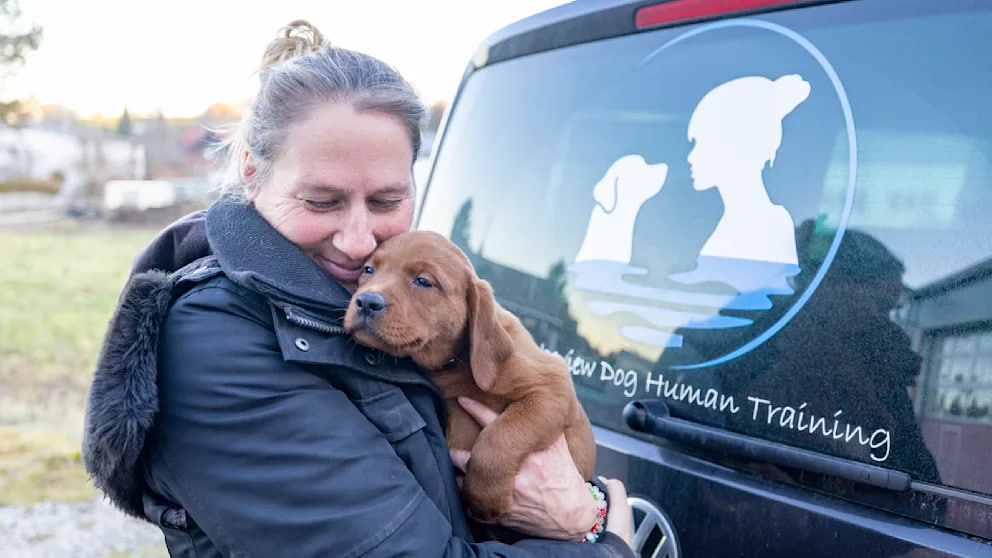 Promi-Hundezucht am Starnberger See geschlossen: Nachbarn widersprechen Vorwürfen Promi-Hundezucht am Starnberger See geschlossen
