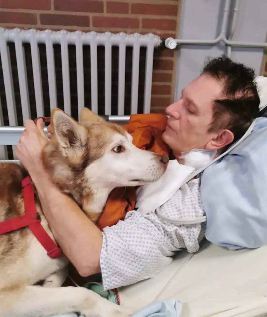 Hund ohne Zustimmung eingeschläfert: Besitzer klagt