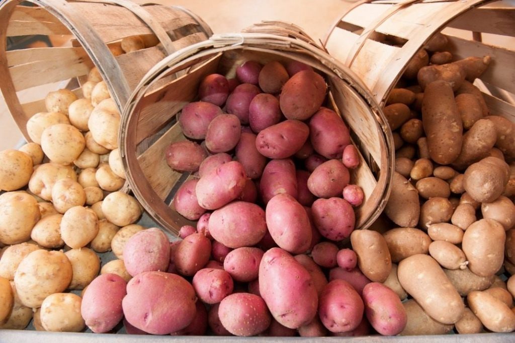 4000 tonnen kartoffeln kostenlos in Berlin: wie man Kartoffeln bekommt und für wen sie verteilt werden 4000 Tonnen Kartoffeln gratis in Berlin: Infos zur Verteilung
