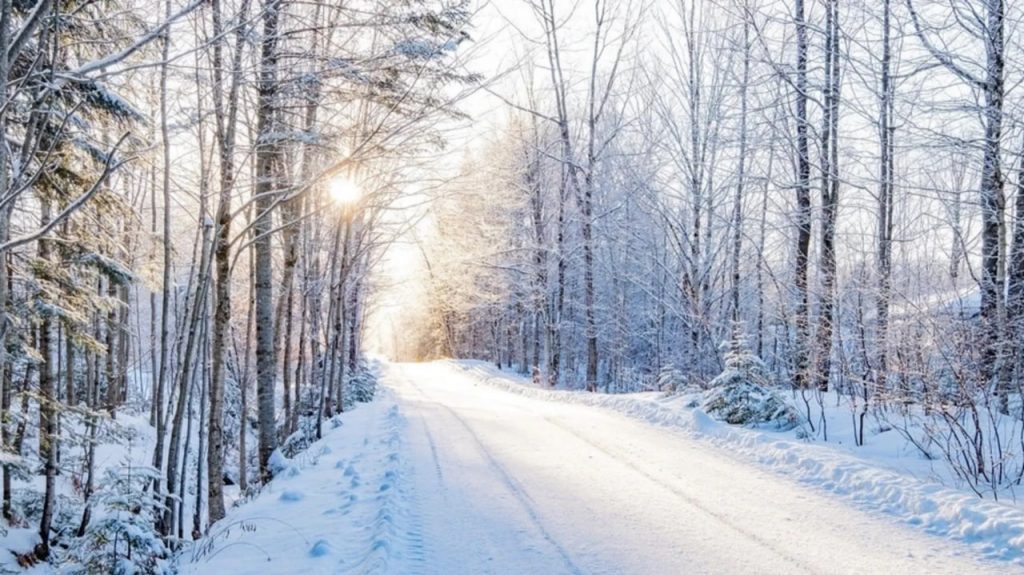 Wetter in Deutschland 13.–19. Februar 2026: DWD-Prognose mit Schnee, Glätte und starkem Wind in den Bergen Wetterprognose für Deutschland: Schnee 13.–19. Februar 2026