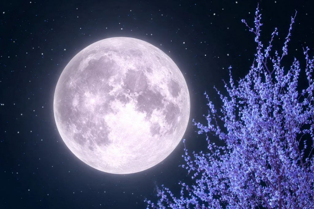 Was bringt der nächste Vollmond: Datum Pinker Mond 2026