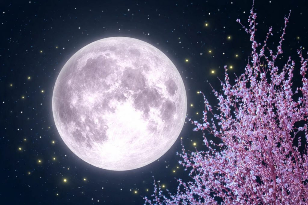 Vollmond April 2026: Pinker Mond — Uhrzeit & Bedeutung | VollVeggie